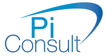 Pi Consult